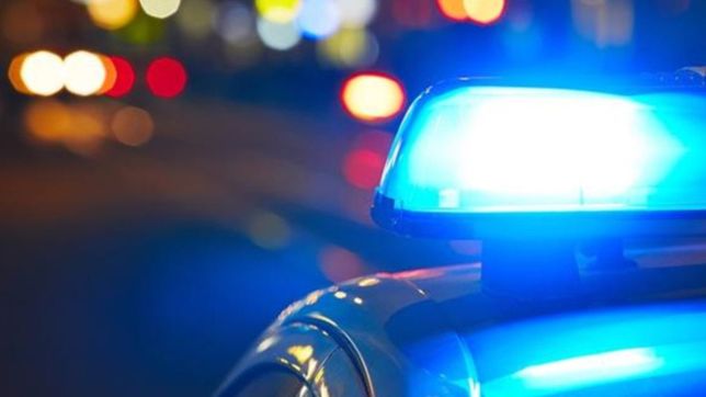 brutal ataque a la casa de una jubilada en tolosa