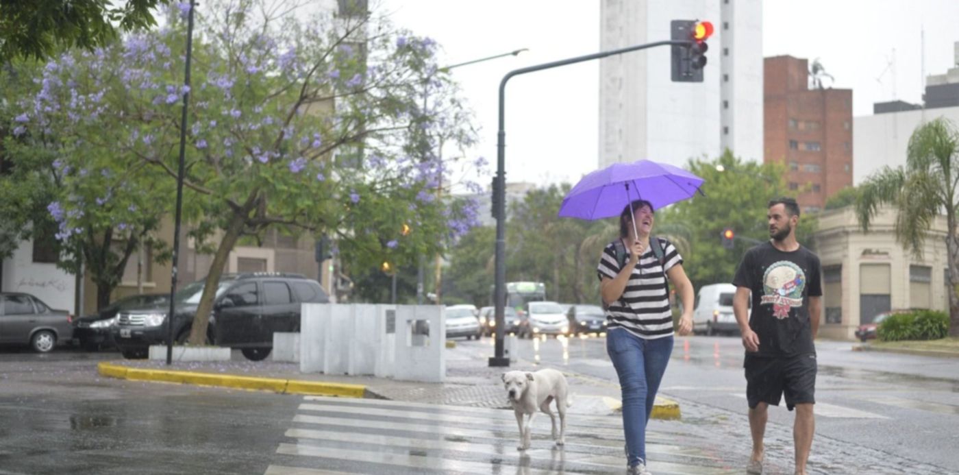 1547463032614.jpg?&cw=1920&ch=950