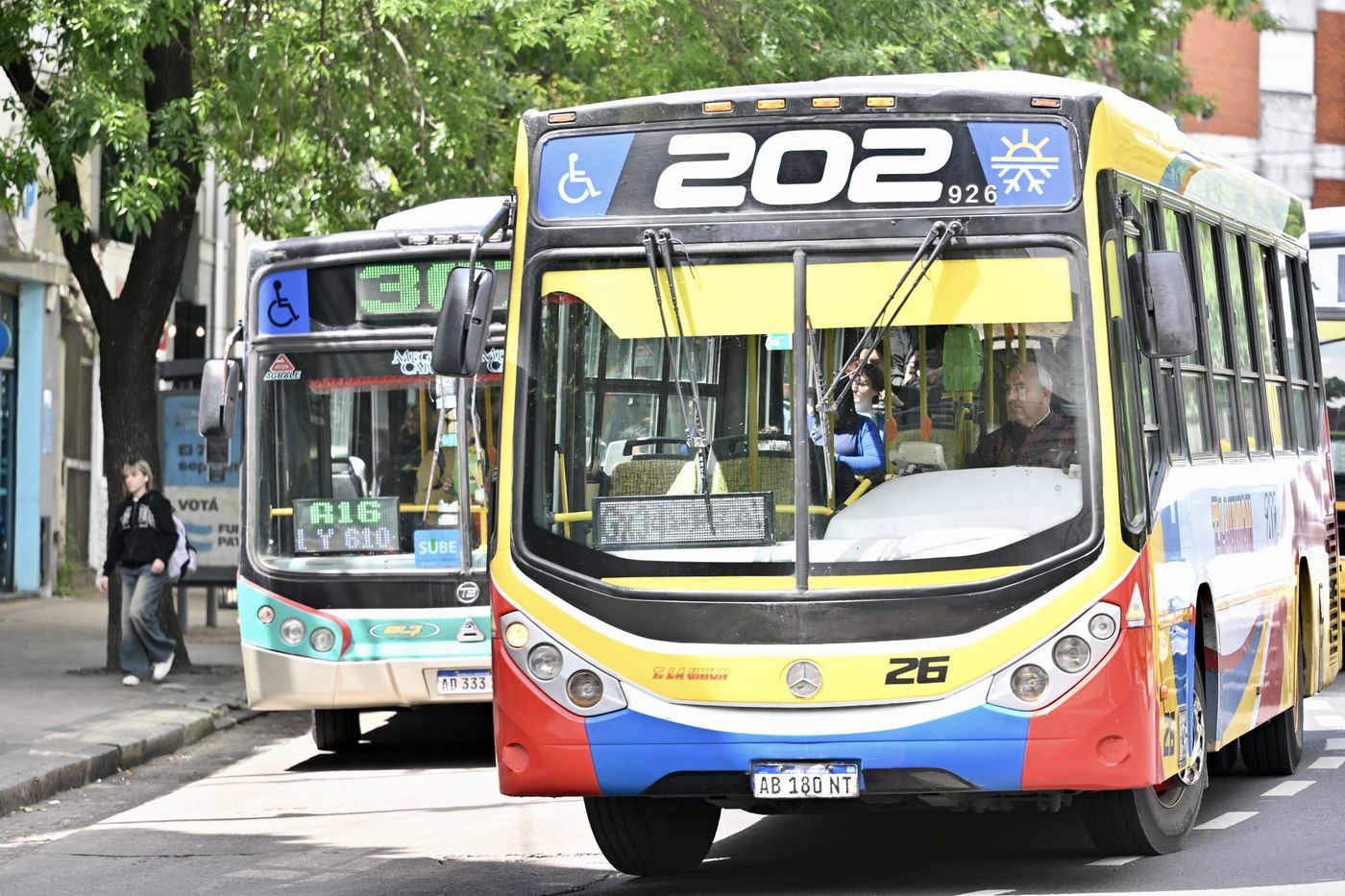 Micros Línea 202 (1)