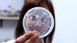 la provincia financiara once proyectos de innovacion de la unlp pensados para asistir a las pymes bonaerenses la provincia financiara once proyectos de innovacion de la unlp pensados para asistir a las pymes bonaerenses