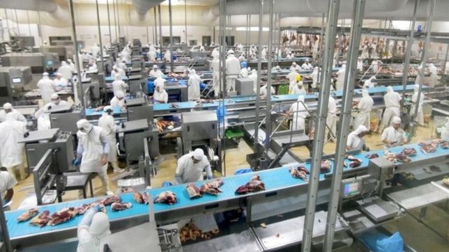 el frigorifico gorina sera uno de los pioneros en la generacion de biogas