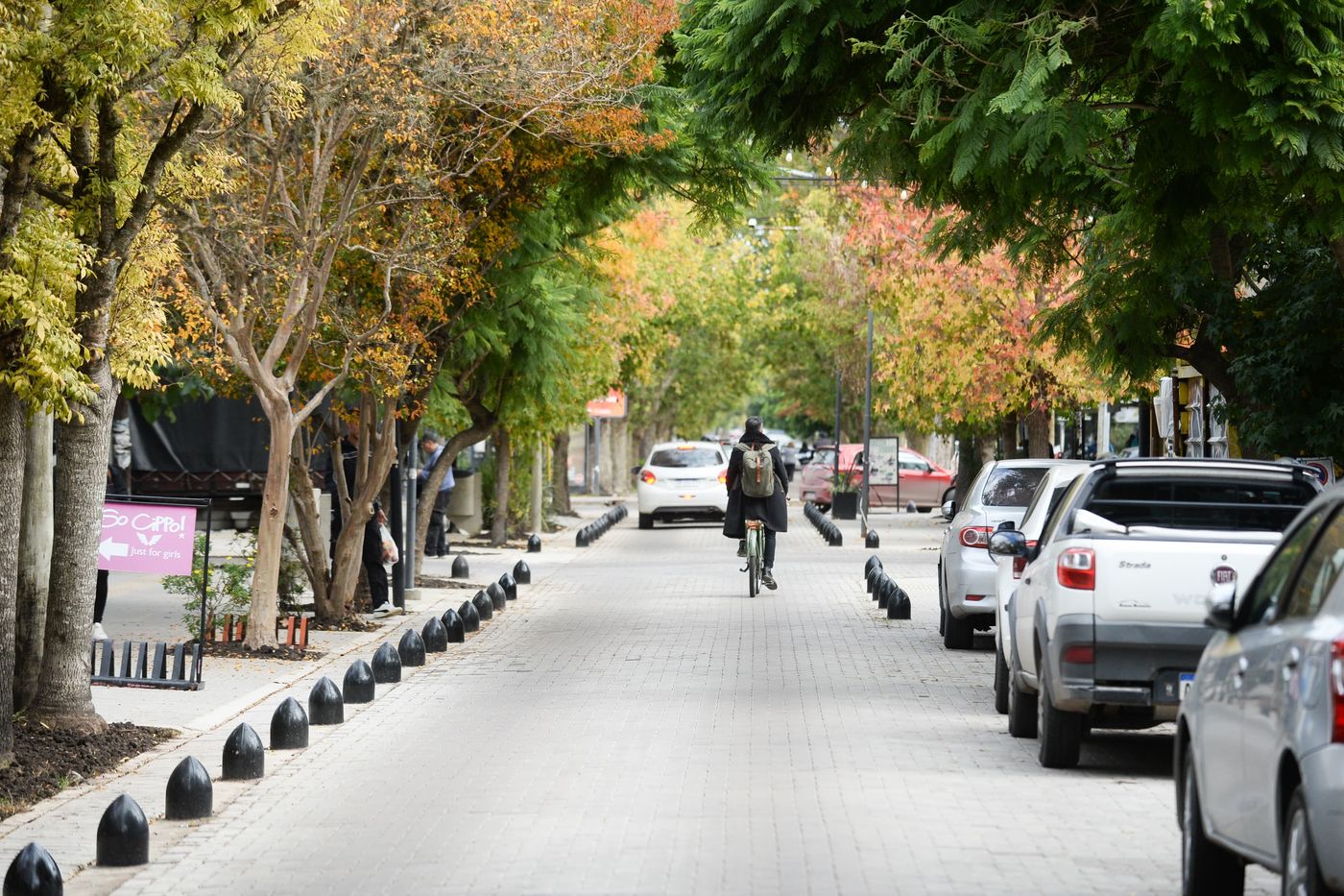 Inauguración del Centro Comercial de City Bell en calle Cantilo (2).jpeg