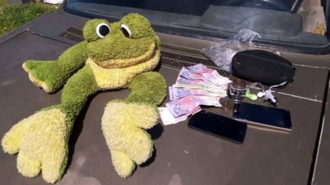 usaban un muneco del sapo pepe para esconder droga y venderla en la plata