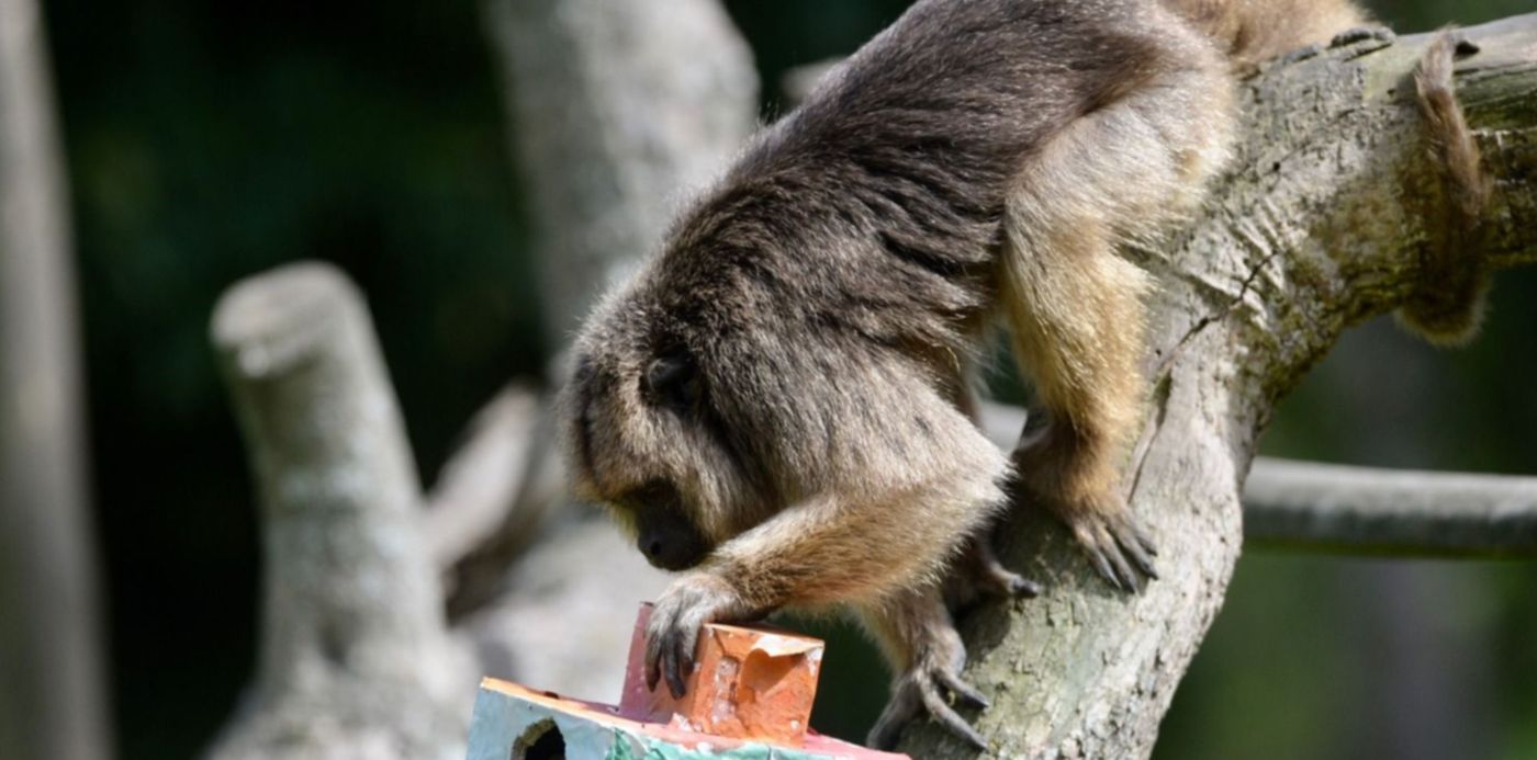 1640619157421.jpg?x=7&y=13&width=1486&height=743&rotate=0&scaleX=1&scaleY=1&ow=1500&oh=1020&&cw=1920&ch=950