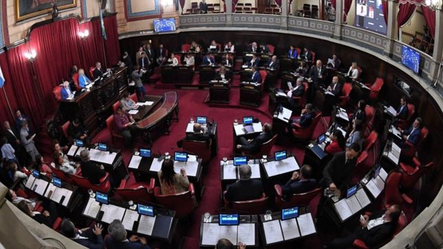 las dos bancas que gano el peronismo de la plata y que seran claves para kicillof