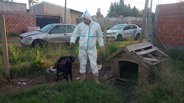 la justicia le quito la tenencia de dos perritos a un vecino porque dormian mojados y sin refugio