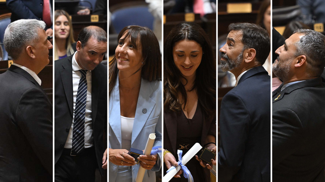 con la asuncion de seis platenses, juraron los diputados electos para la legislatura