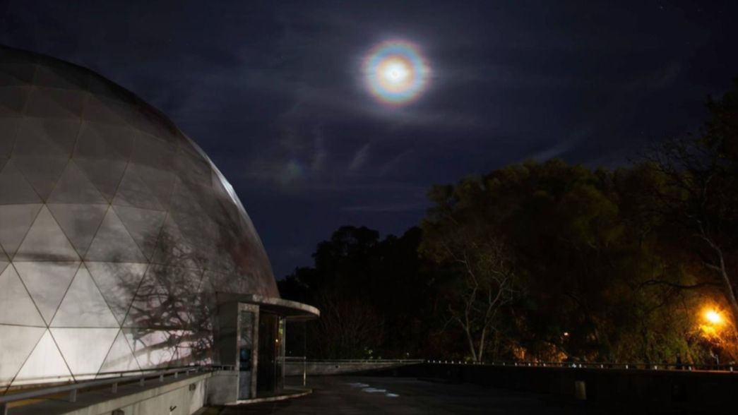 El Planetario, Juanchi, La Sirenita, Aladdin, circo y aire libre en un viernes a pleno