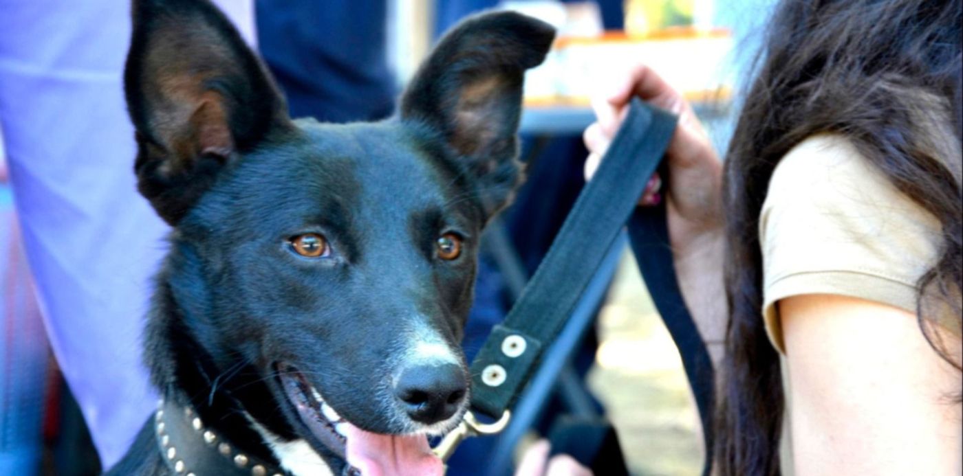 1523969172912.jpg?&cw=1920&ch=950