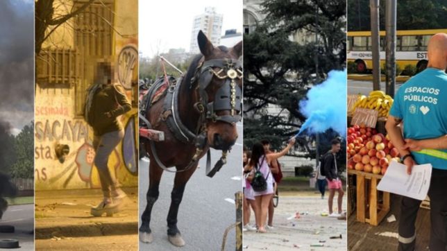 upd, mascotas, acoso, ambulantes y protesta: avanza el codigo de convivencia de garro