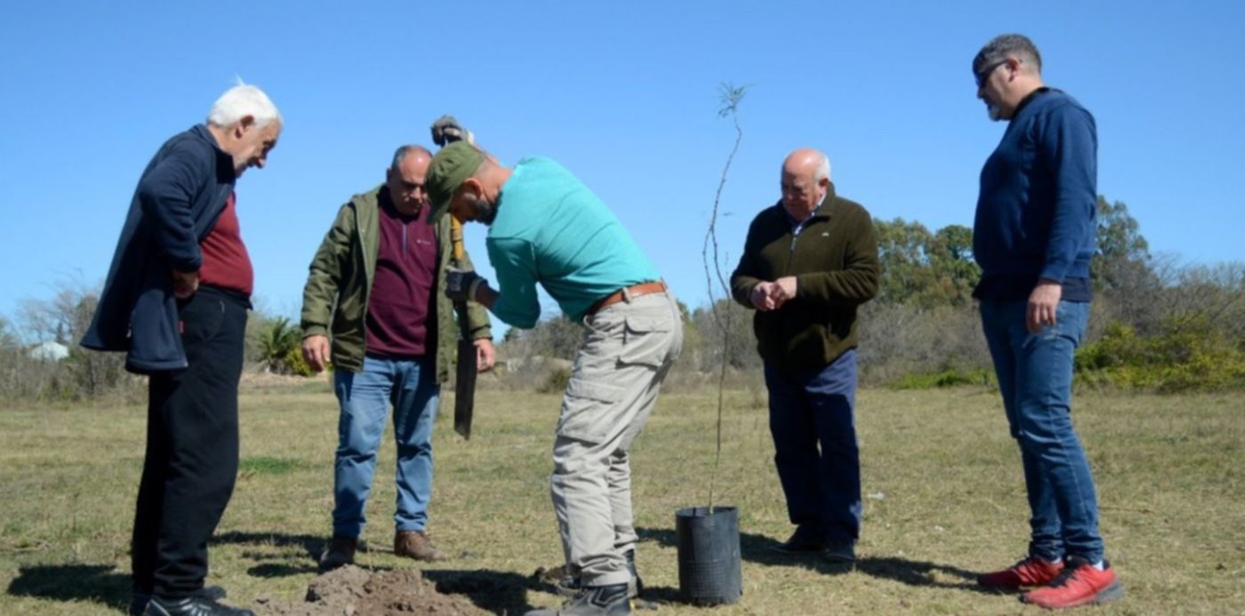 espinillos en el Parque Ecológico - Espinillos en el Parque Ecológico