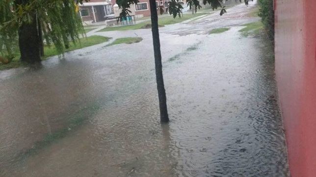 madrugada de preocupacion en ringuelet y tolosa por las fuertes lluvias