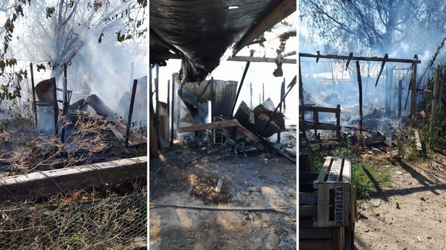 un incendio arraso con las casas de cinco familias en la plata