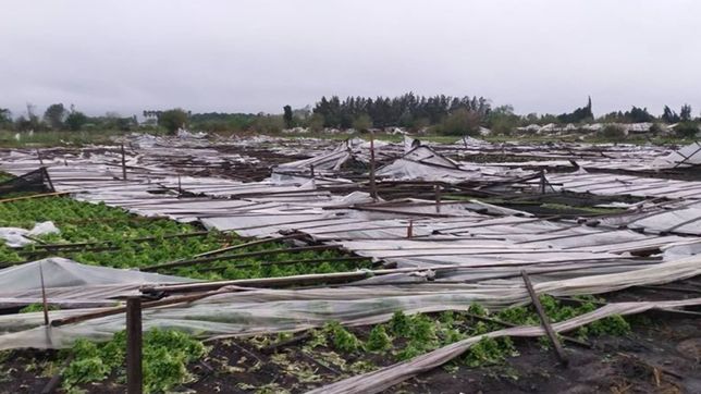 video: el cinturon frutihorticola, la cara de la desolacion que dejo el temporal en la plata