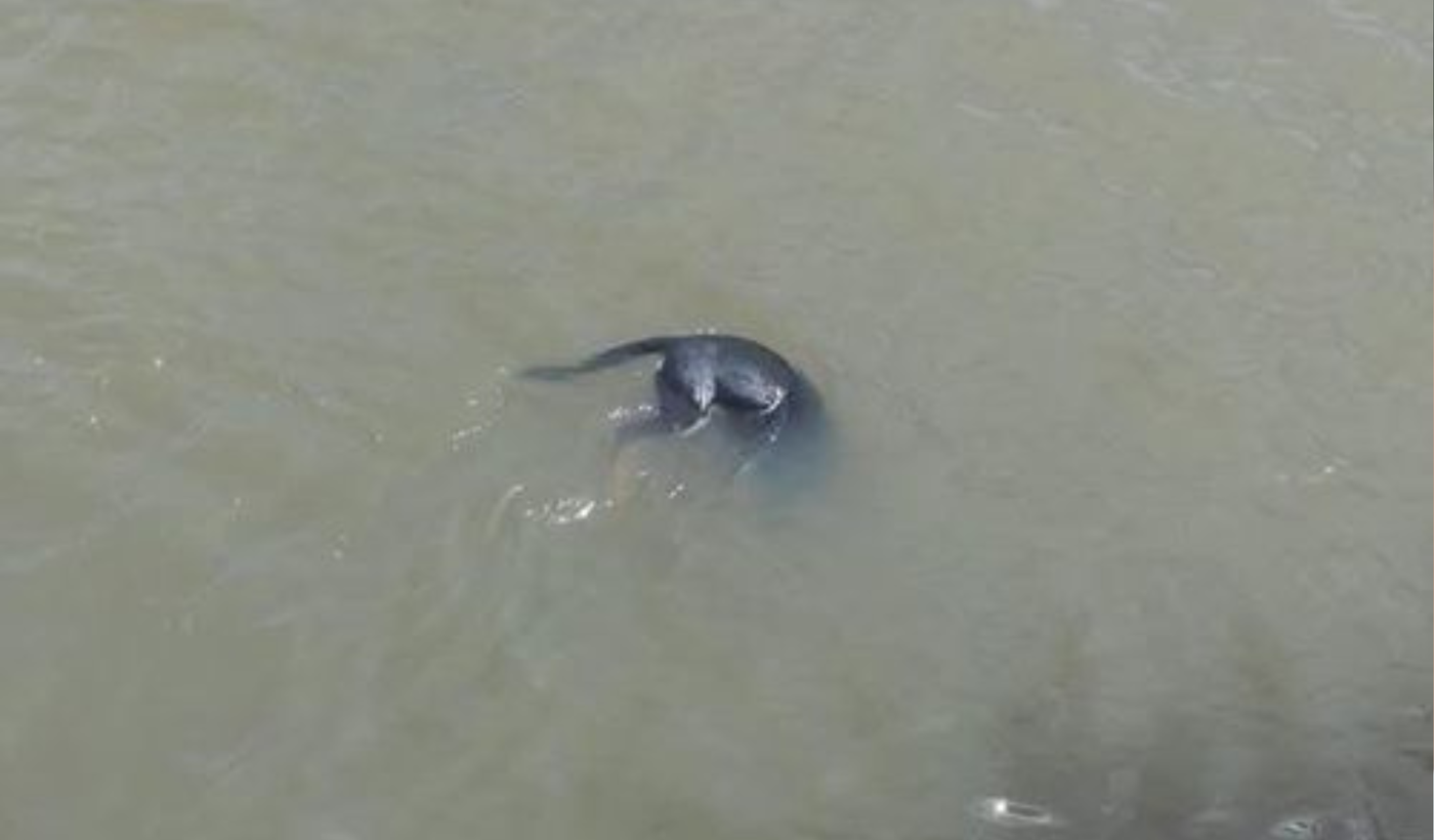 Copia de Diseño sin título (63).png