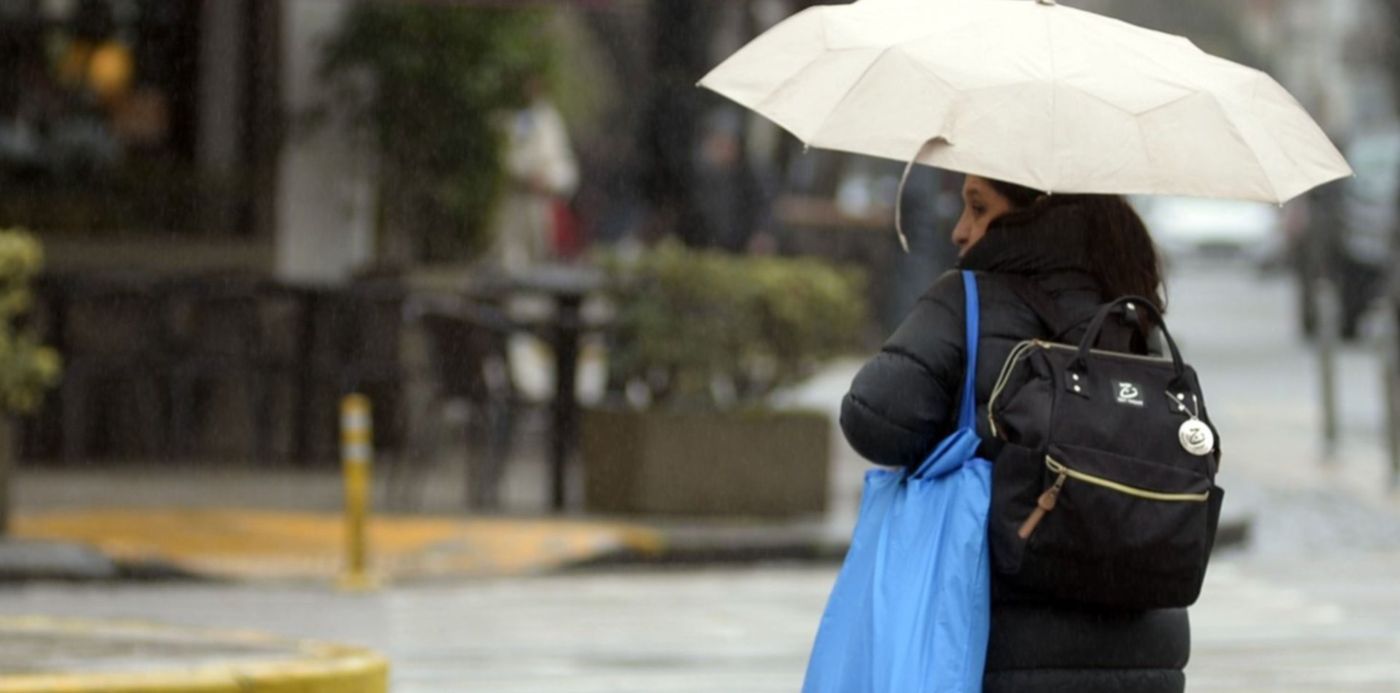 1557052596706.jpg?scaleX=1&y=56&width=1483&rotate=0&scaleY=1&ow=1500&oh=1048&x=14&height=741&&cw=1920&ch=950