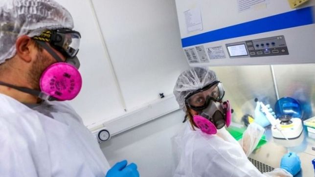 coronavirus en argentina: murieron 120 personas en las ultimas 24 horas