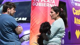 vuelven las jornadas de vacunacion para perros y gatos en la plata vuelven las jornadas de vacunacion para perros y gatos en la plata