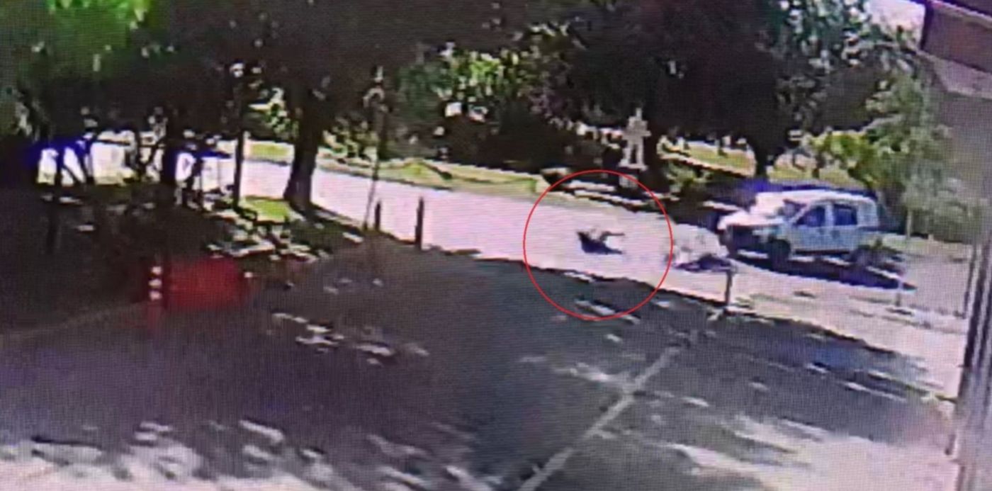 1667512906548.jpg?x=6&y=14&width=1488&height=744&rotate=0&scaleX=1&scaleY=1&ow=1500&oh=849&&cw=1920&ch=950