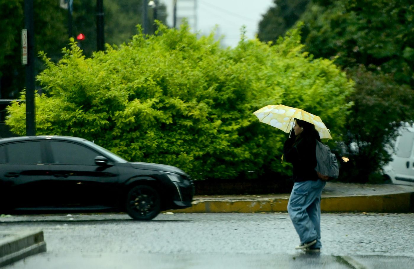 Clima Lluvias Invierno (2).jpg