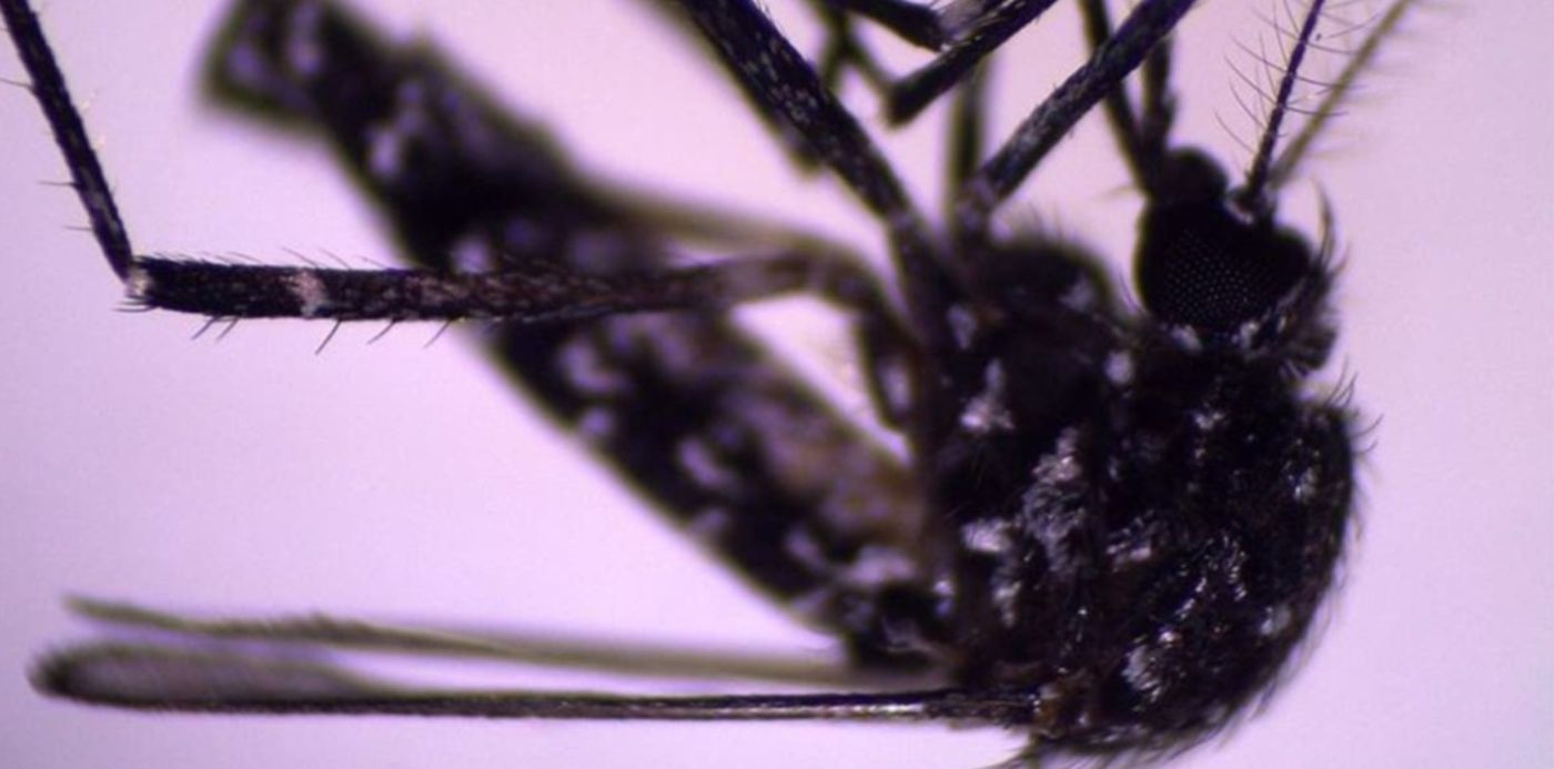 1613666369231.jpg?x=15&y=68&width=1182&height=591&rotate=0&scaleX=1&scaleY=1&ow=1200&oh=675&&cw=1920&ch=950