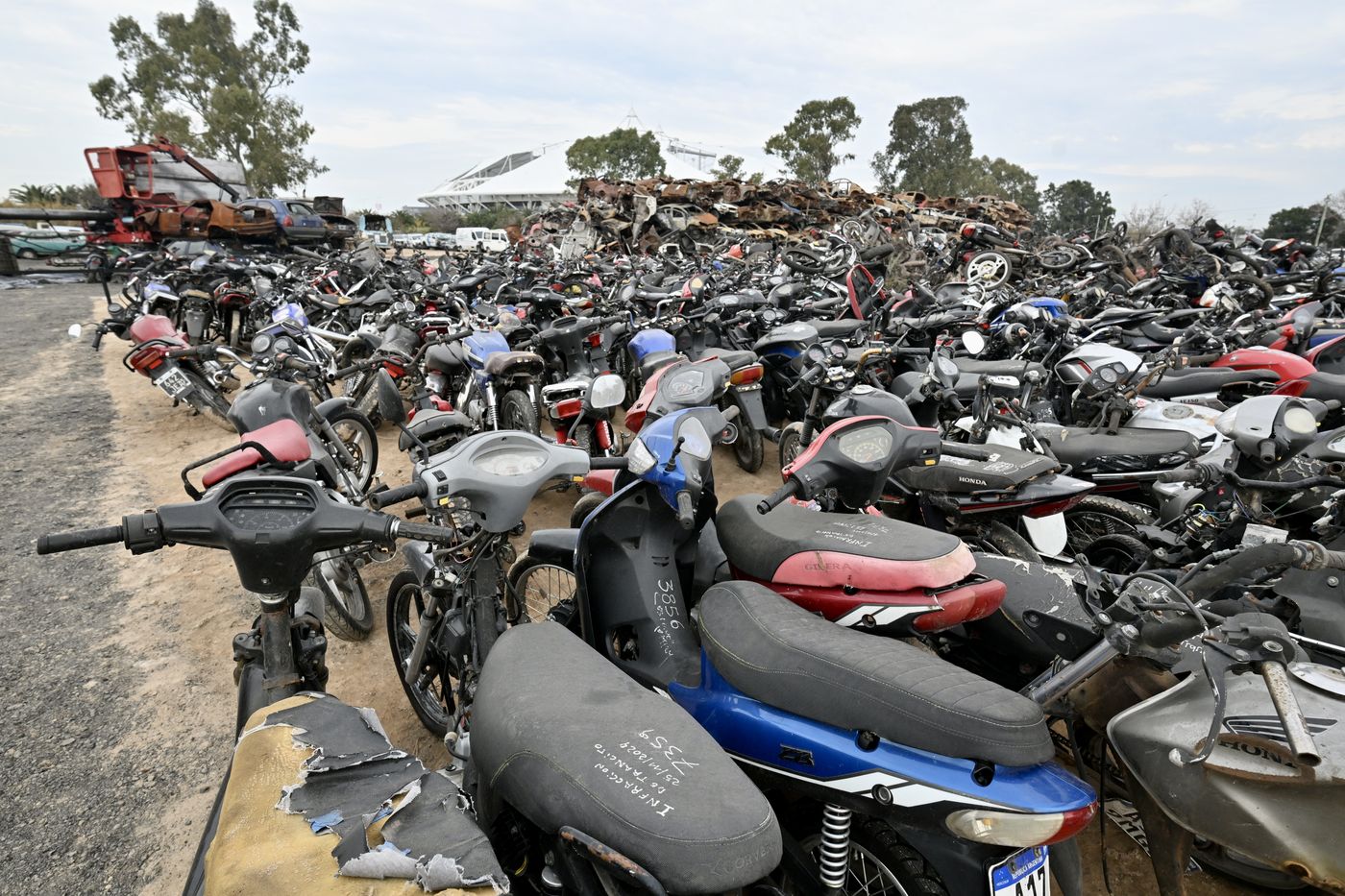 Compactación de autos (12).JPG