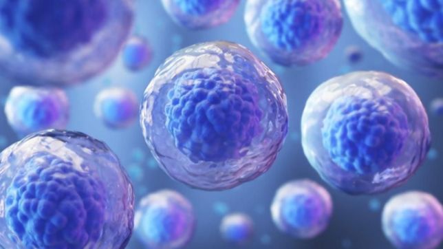 nanomagnetismo y celulas madre, la terapia para la regeneracion del nervio ciatico