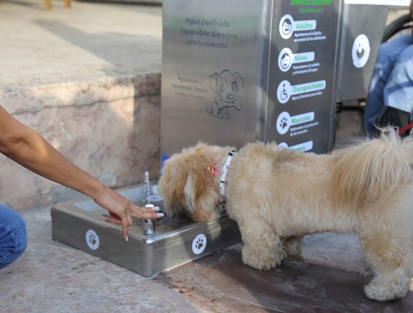 Bebederos para mascotas (3).jpg