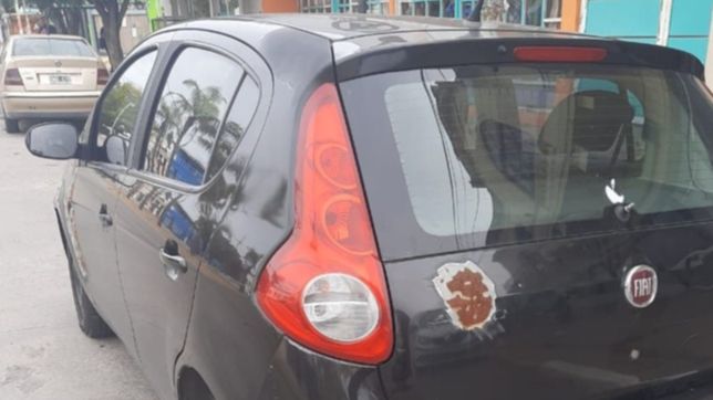 ensenada: detuvieron a cuatro personas que viajaban en un auto y violaron la cuarentena