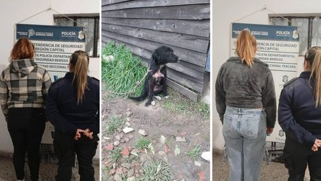 maltrato animal berisso