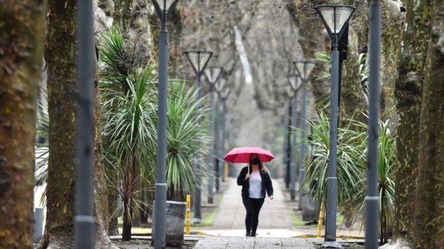 ¿vuelven las lluvias? asi seguira el clima en la plata