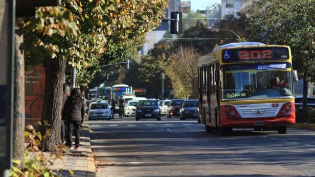 los micros ya funcionan en la plata con la frecuencia de verano y lo sufren los pasajeros