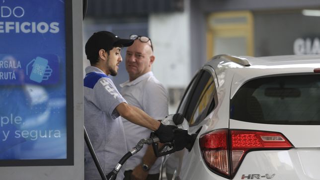 un nuevo aumento del biodiesel haria subir otra vez el precio del gasoil