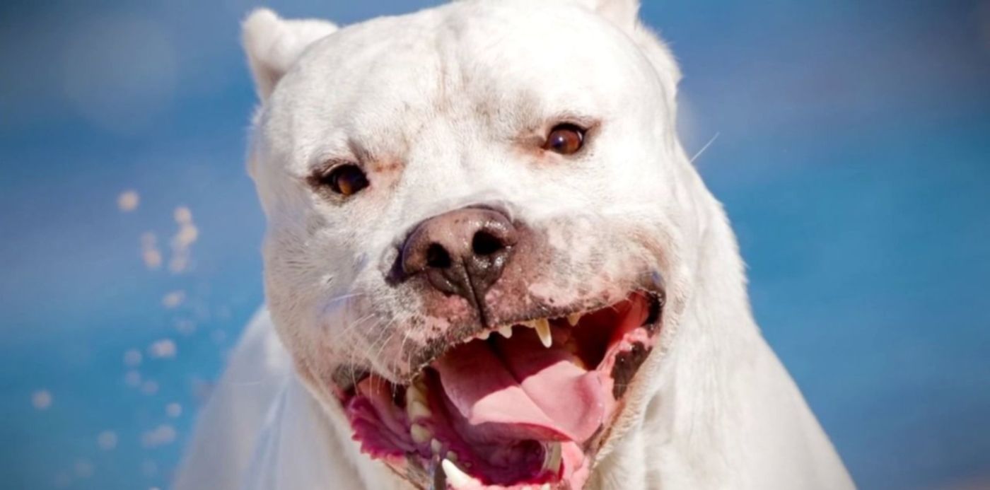 1576163680335.jpg?&cw=1920&ch=950