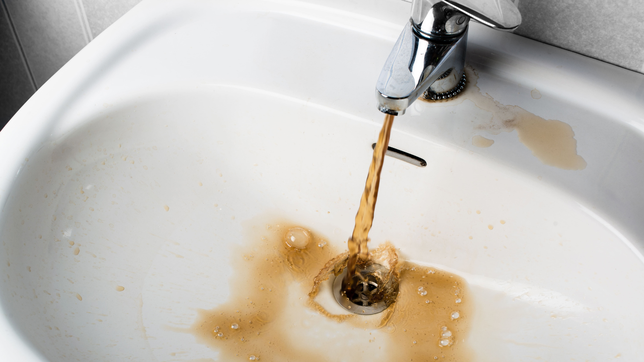 vecinos de la plata denuncian que el agua sale de sus canillas con el color de un licor irlandes