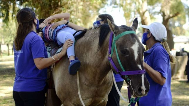 cerco de madera, rampa y bancos: asi es la nueva pista de equinoterapia de la repu