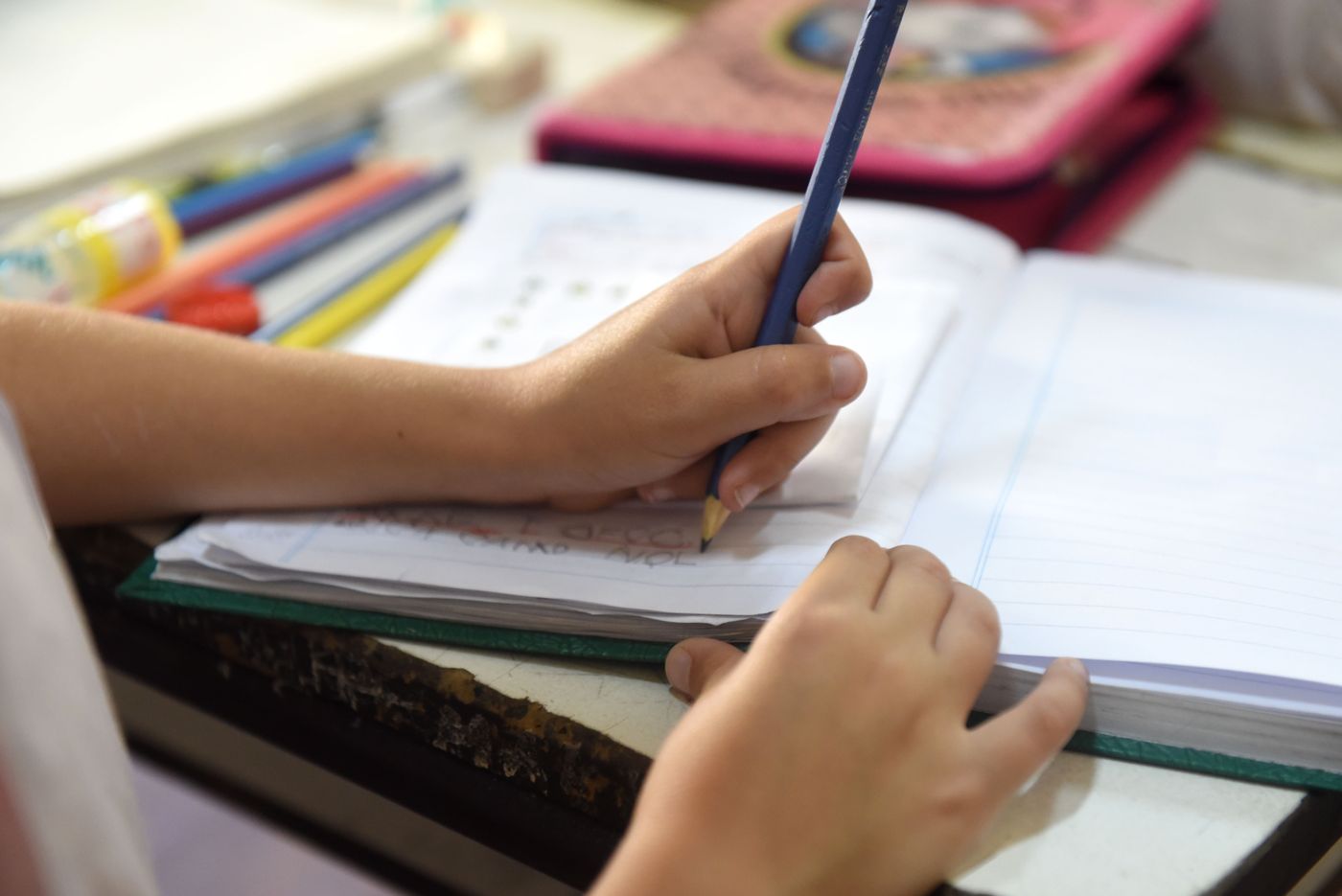 El proyecto remarca la necesidad de que se cumplan los 180 días de clases en cada ciclo lectivo.