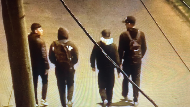 caminaban con un televisor robado, los vieron en camaras y terminaron detenidos