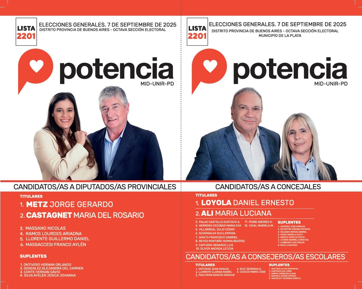 La boleta de Potencia La boleta de Potencia