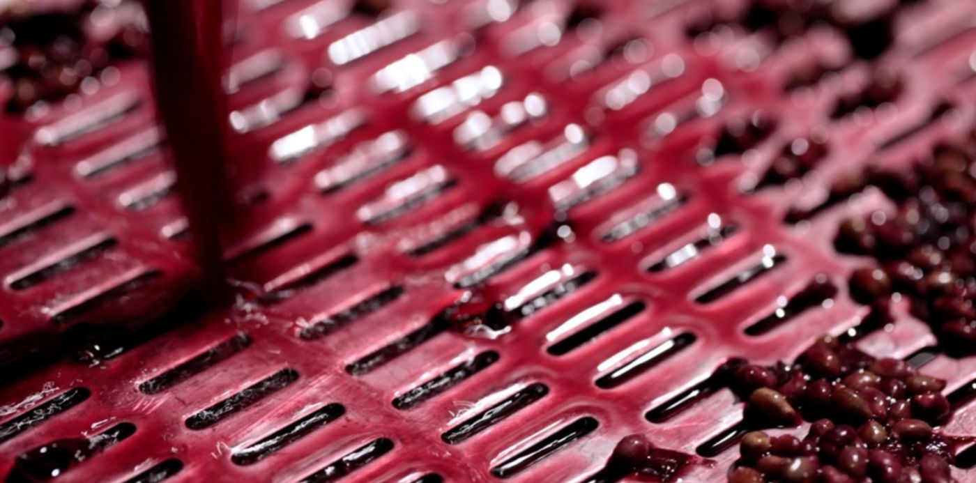 1557687921956.jpg?y=63&width=1483&rotate=0&scaleX=1&oh=999&x=10&height=742&scaleY=1&ow=1500&&cw=1920&ch=950