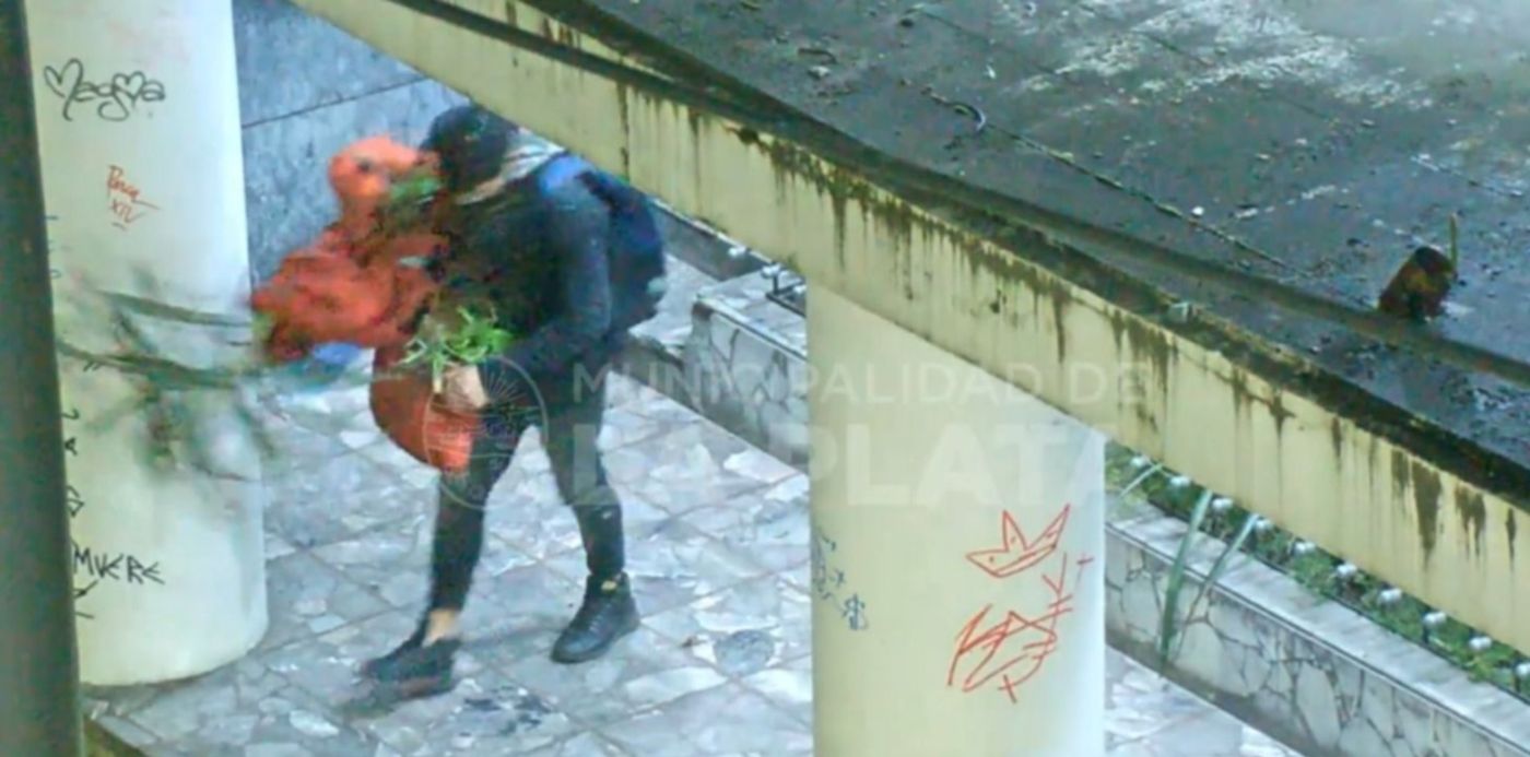 1661360527707.jpg?x=0&y=0&width=1456&height=728&rotate=0&scaleX=1&scaleY=1&ow=1500&oh=728&&cw=1920&ch=950