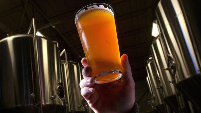 del bosque a la industria: el conicet y los cerveceros platenses con una agenda cientifica