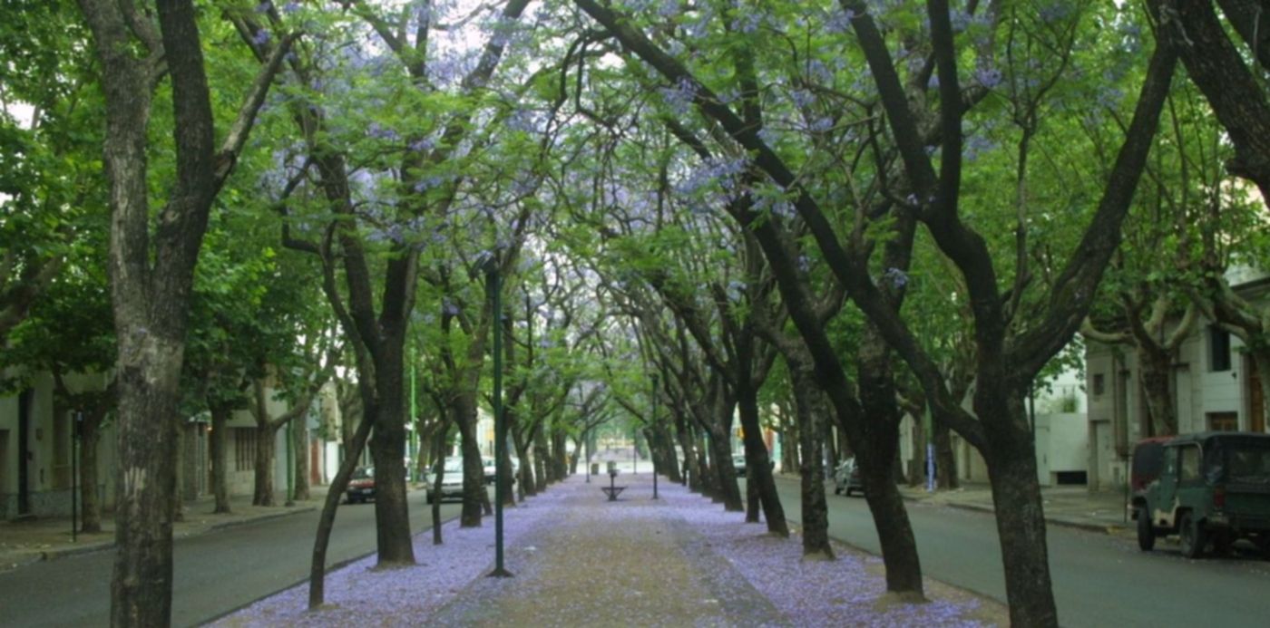 1544181250682.jpg?&cw=1920&ch=950