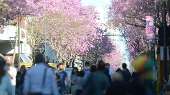volvieron las peatonales: estos son los horarios y las calles habilitadas para este sabado
