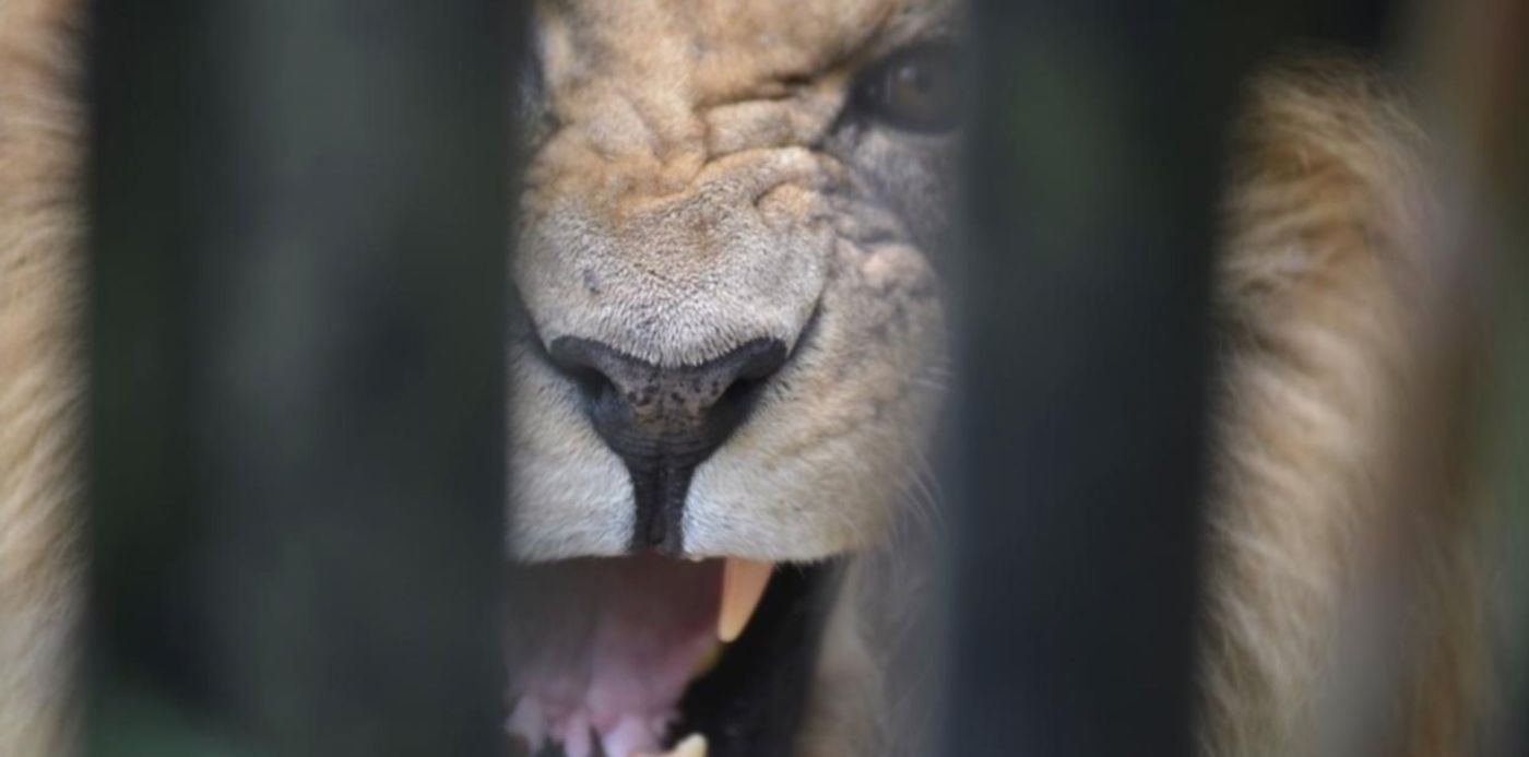 1543316884249.jpeg?y=23&width=1259&rotate=0&x=15&scaleX=1&scaleY=1&ow=1280&oh=720&height=630&&cw=1920&ch=950