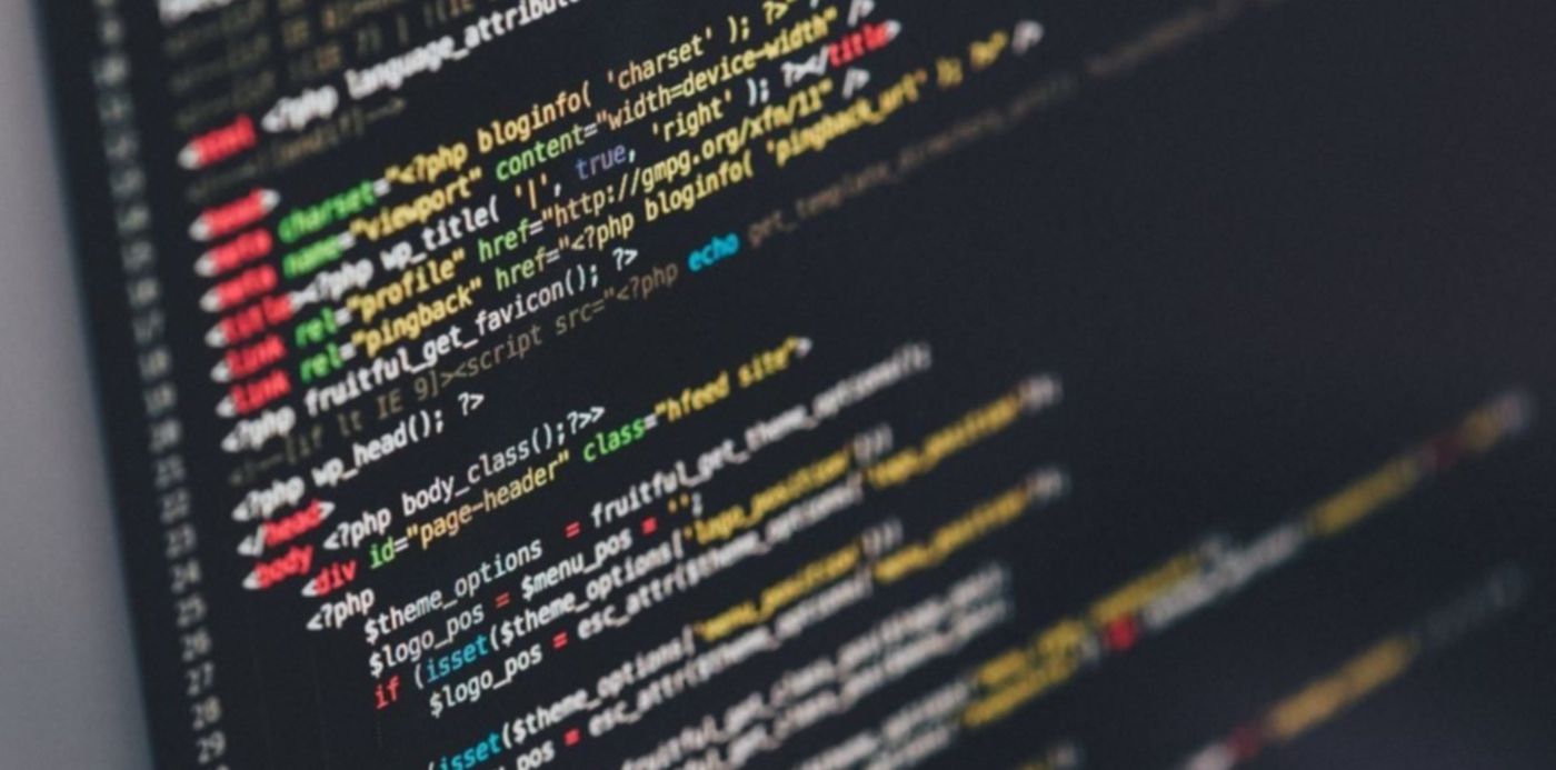 Programador Desarrollador