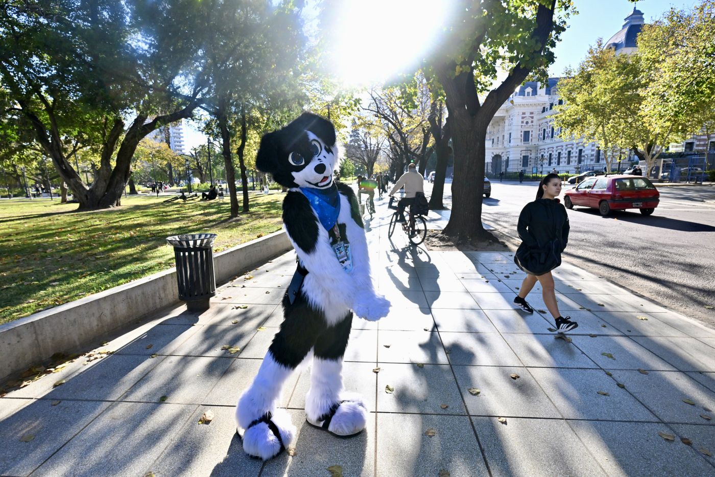 Convención furrys furros (9)