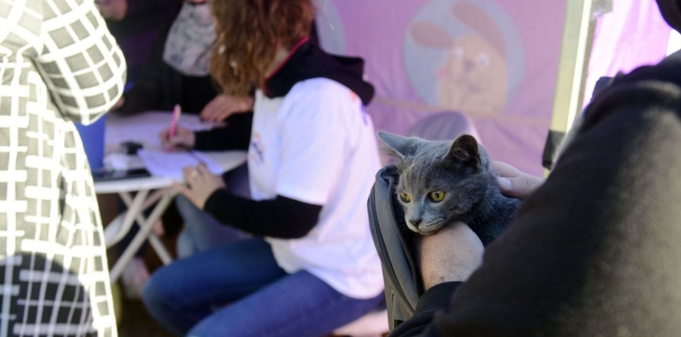 1666133531244.jpg?x=7&y=167&width=1486&height=743&rotate=0&scaleX=1&scaleY=1&ow=1500&oh=1000&&cw=1920&ch=950