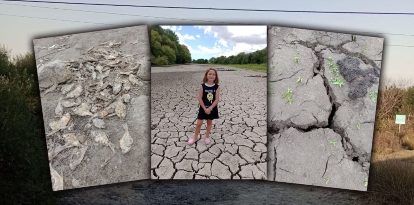 1678049670254.jpg?x=8&y=0&width=1484&height=742&rotate=0&scaleX=1&scaleY=1&ow=1500&oh=742&&cw=1920&ch=950