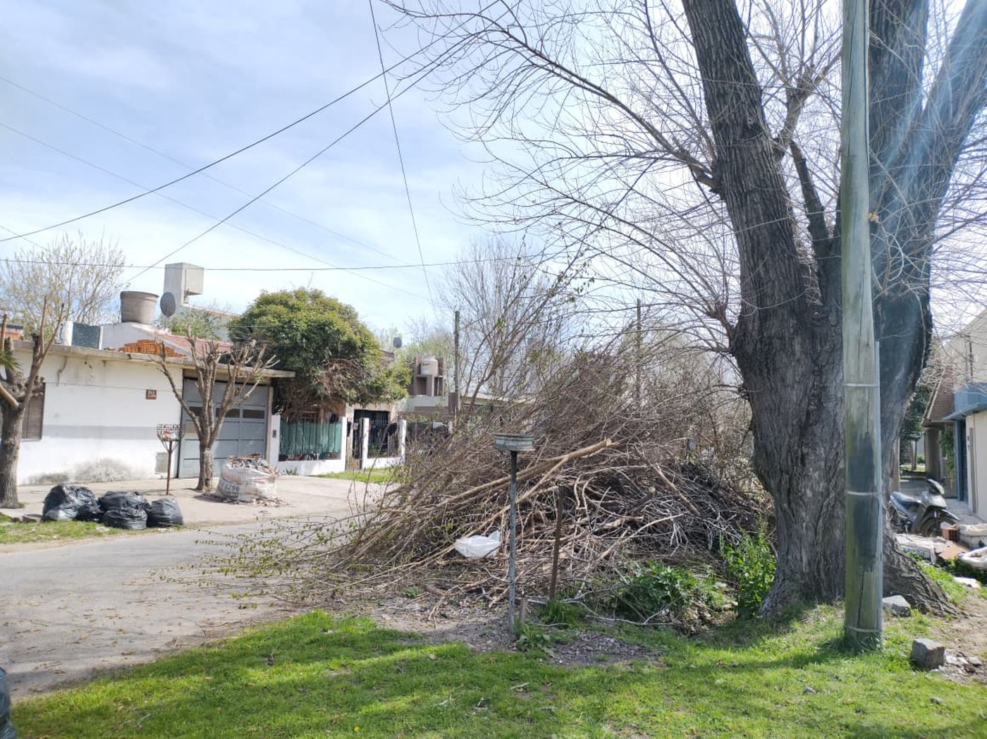 Los vecinos reclamaron ante de la delegación de San Carlos por las ramas sin retirar, pero aún no tuvieron respuestas Los vecinos reclamaron ante de la delegación de San Carlos por las ramas sin retirar, pero aún no tuvieron respuestas